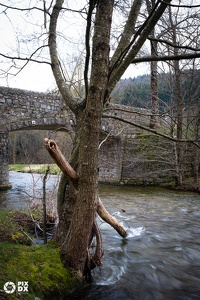 Plan d'eau du Moulin d'Armand