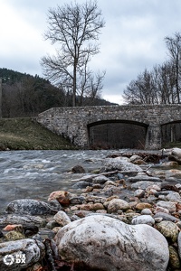 Plan d'eau du Moulin d'Armand