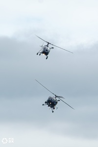 Alouettes II & III