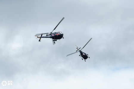 Alouettes II & III