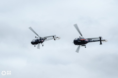 Alouettes II & III
