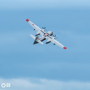S2F Tracker