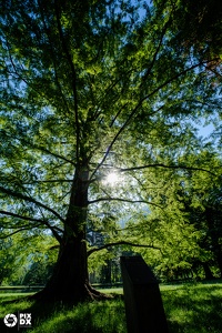 Parc du Château de Vizille