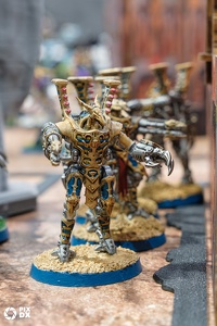 War Troll Party 2026
