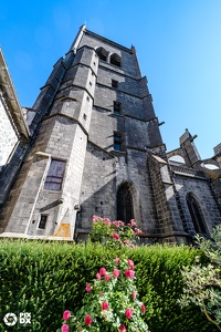Cathédrale Saint-Pierre